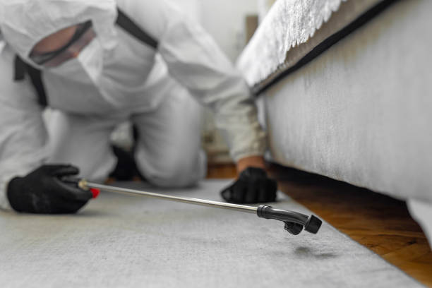 Professional Rodent Control technician working in Elmira Heights, NY