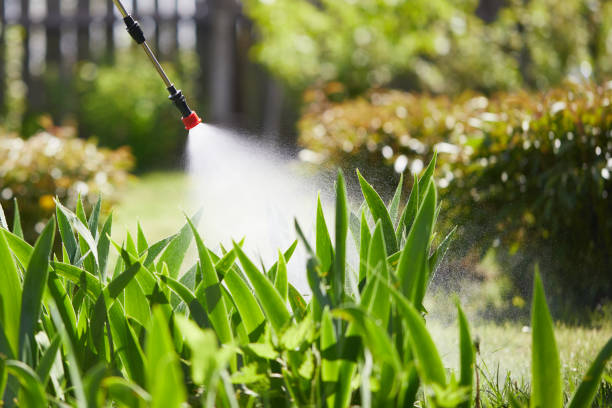 24/7 Emergency Rodent Control experts in Elmira Heights, NY
