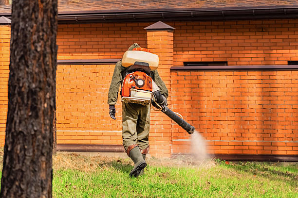Trusted Cockroach Control service in Elmira Heights, NY - Nex Pest Control